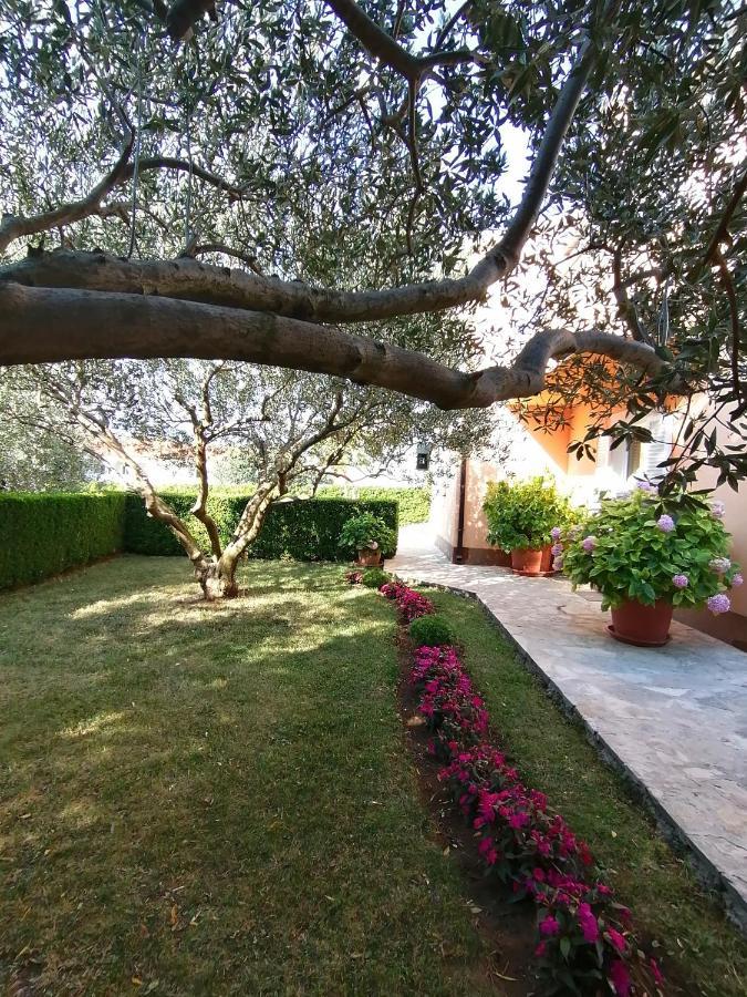 Zadvarje Kvasina Apartments מראה חיצוני תמונה
